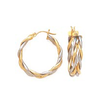 Gold & Silver Earring